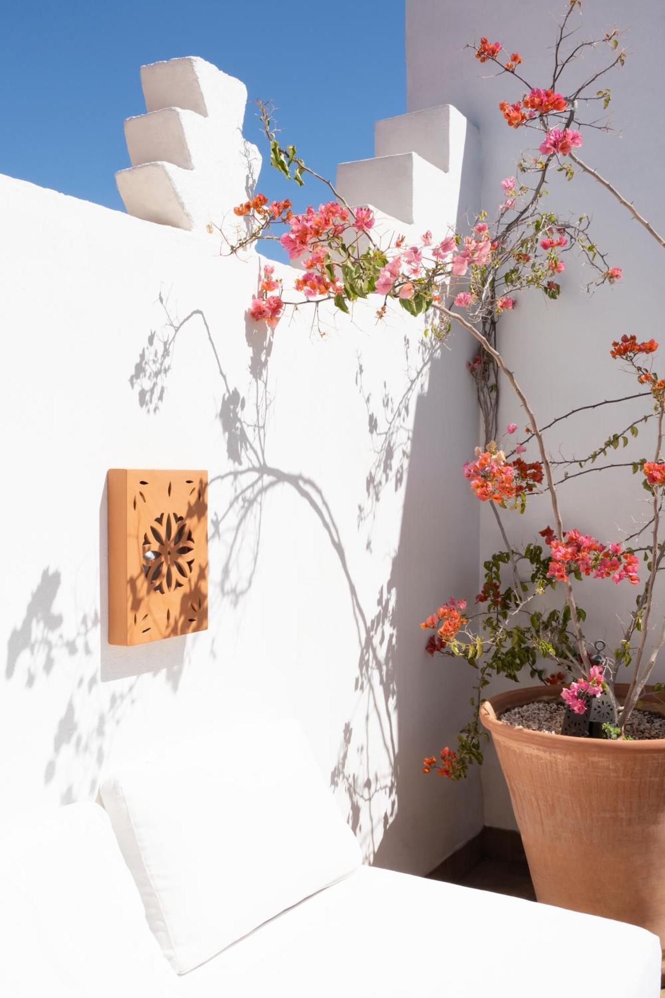 Riad Sashema มาร์ราเกช ภายนอก รูปภาพ